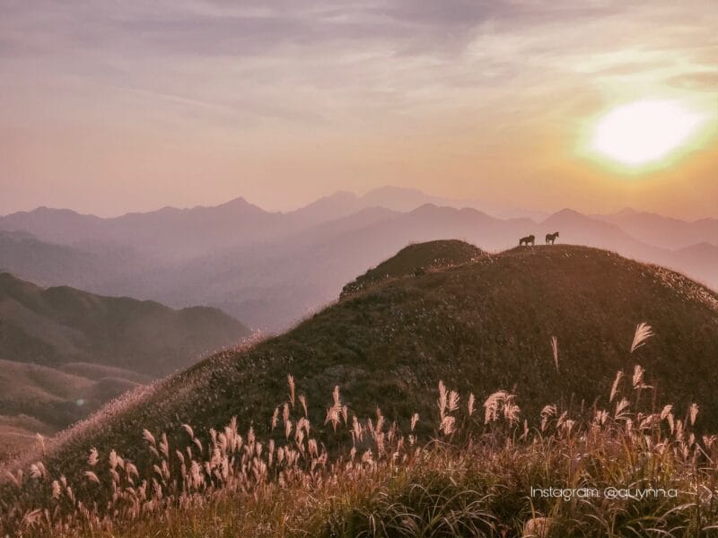 Tour Bình Liêu Quảng Ninh 2 ngày 1 đêm - Chinh phục sống lưng khủng long