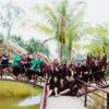 TOUR VỀ NGUỒN TIỀN GIANG - BẾN TRE: 02