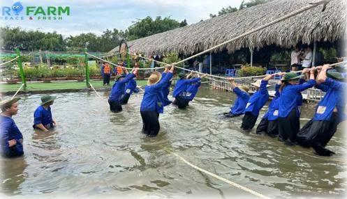 TOUR VỀ NGUỒN NGÃ BA GIỒNG - HÓC MÔM FAM