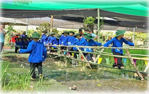 TOUR VỀ NGUỒN NGÃ BA GIỒNG - HÓC MÔM FAM