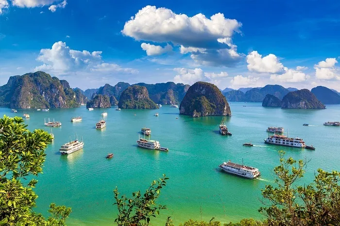 Du lịch Hạ Long